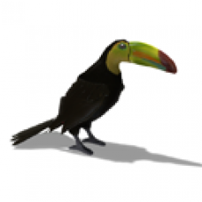 Toucan Companion